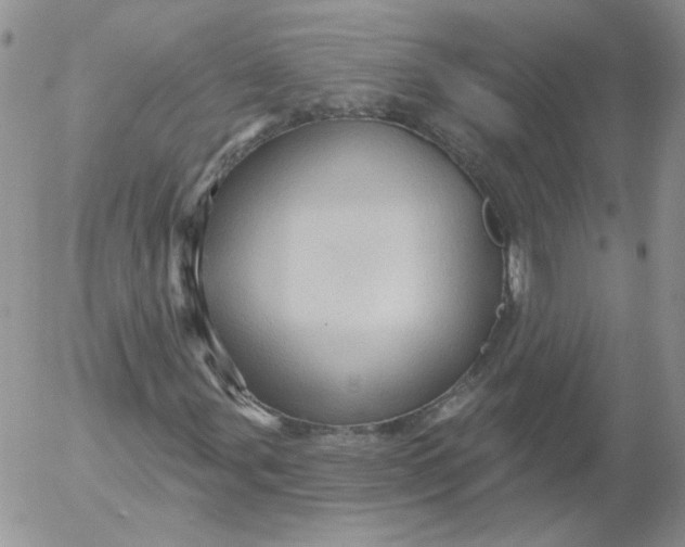 X0000053081107200508011959