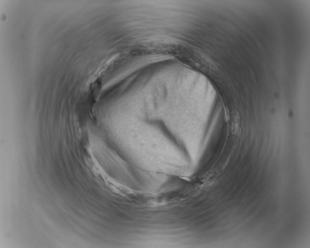 X0000053081108200508011959