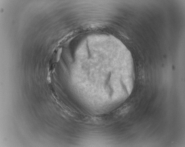 X0000053081109200508011959