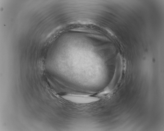 X0000053081110200508011959