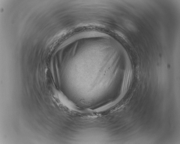 X0000053081111200508011959