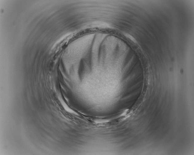 X0000053081112200508011959