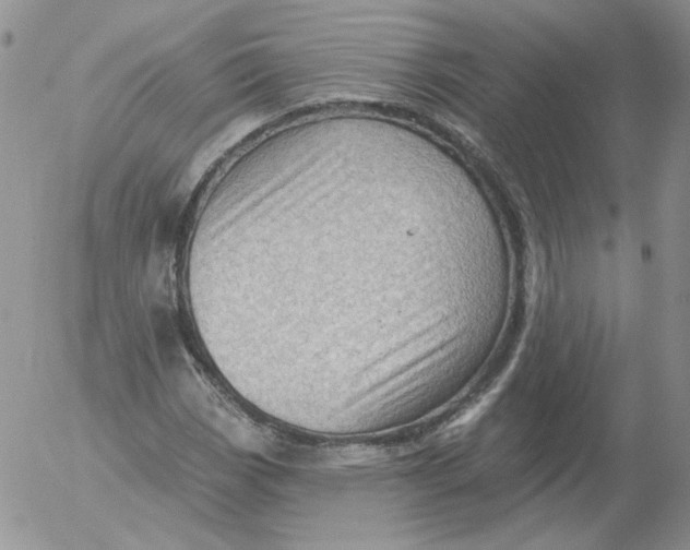 X0000053081113200508011959