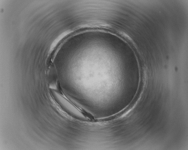 X0000053081114200508011959