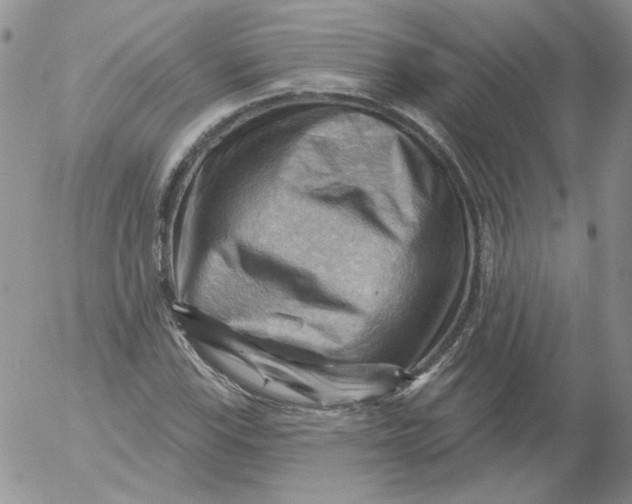 X0000053081115200508011959