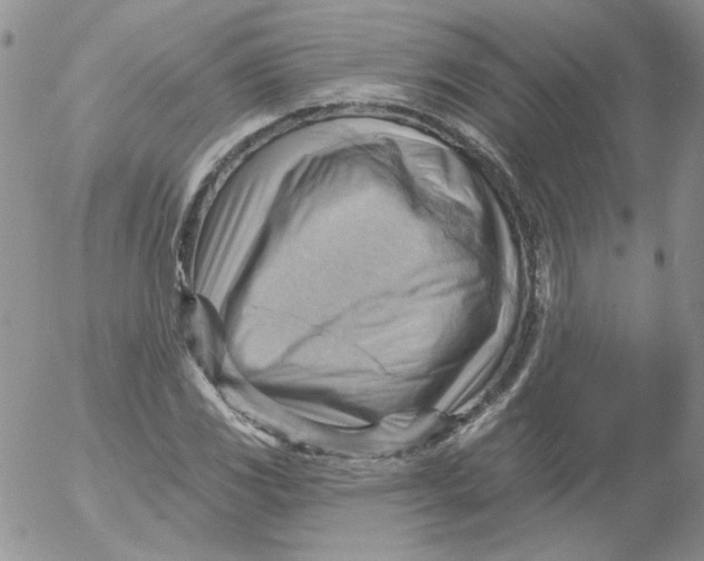 X0000053081117200508011959