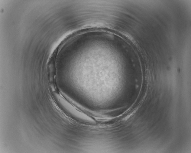 X0000053081118200508011959