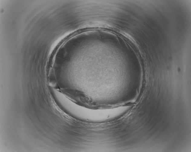 X0000053081120200508011959