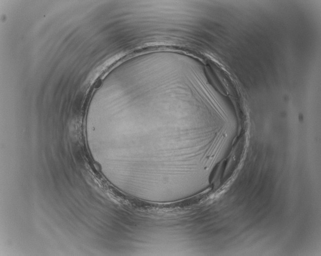 X0000053081121200508011959