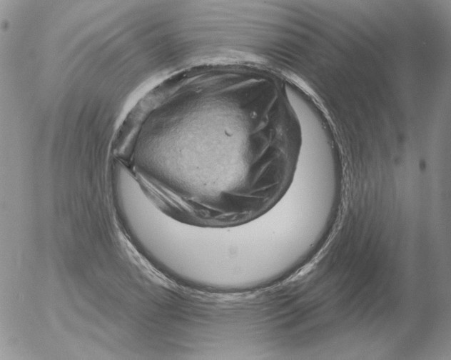 X0000053081122200508011959