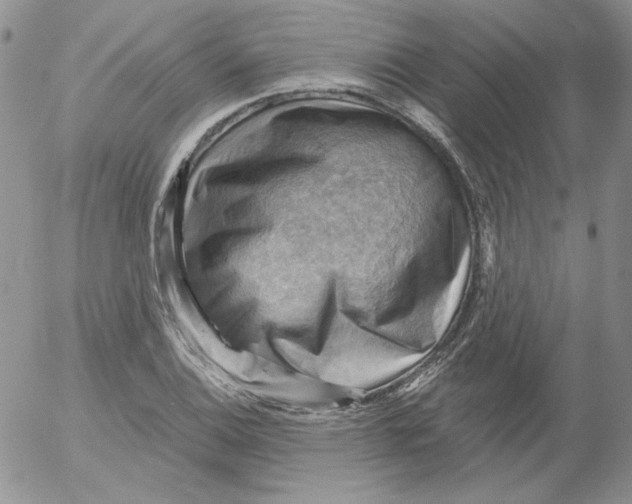 X0000053081124200508011959