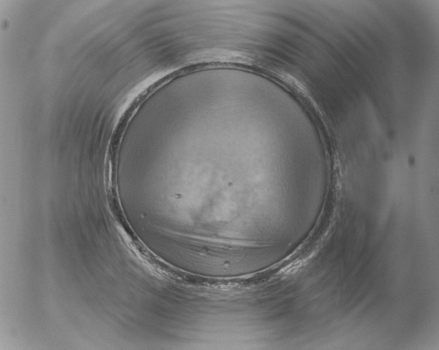 X0000053081125200508011959