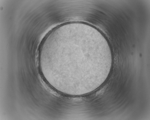 X0000053081126200508011959