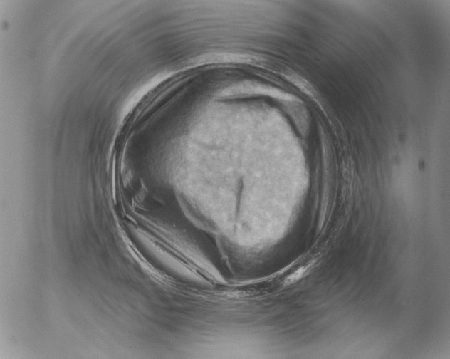 X0000053081127200508011959