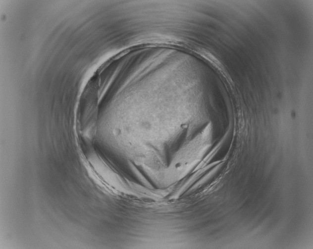 X0000053081128200508011959