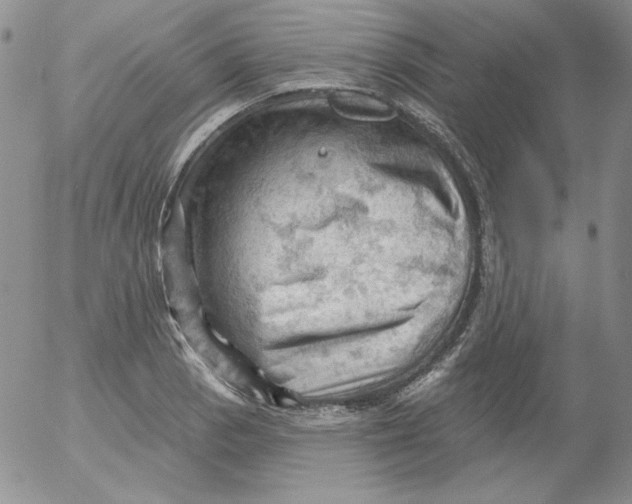 X0000053081129200508011959