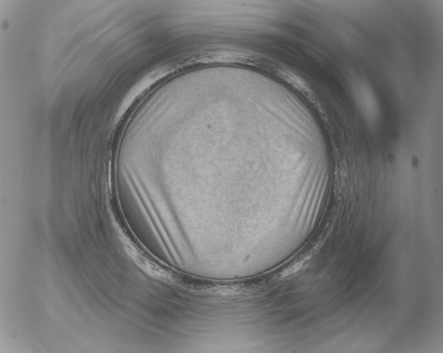 X0000053081130200508011959