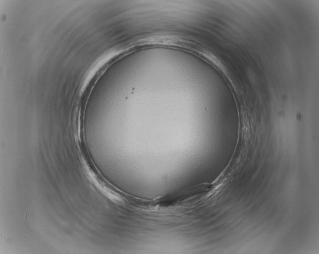 X0000053081131200508011959