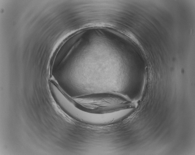 X0000053081132200508011959