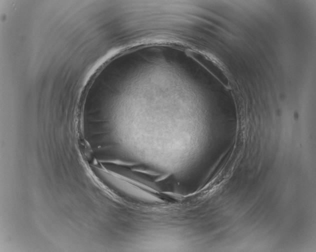 X0000053081134200508011959