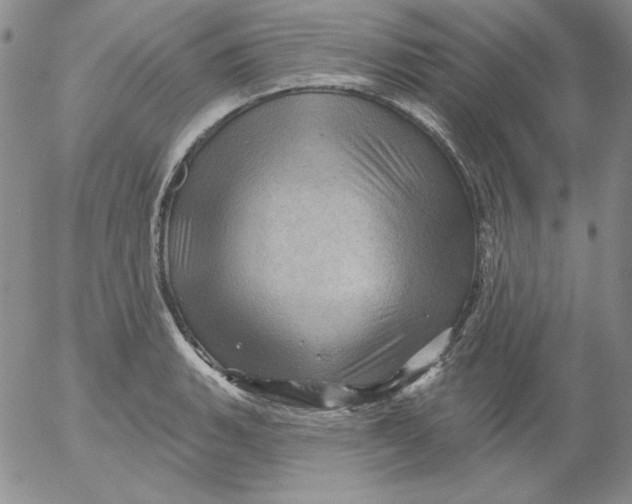 X0000053081135200508011959