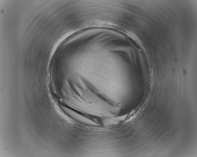 X0000053081136200508011959