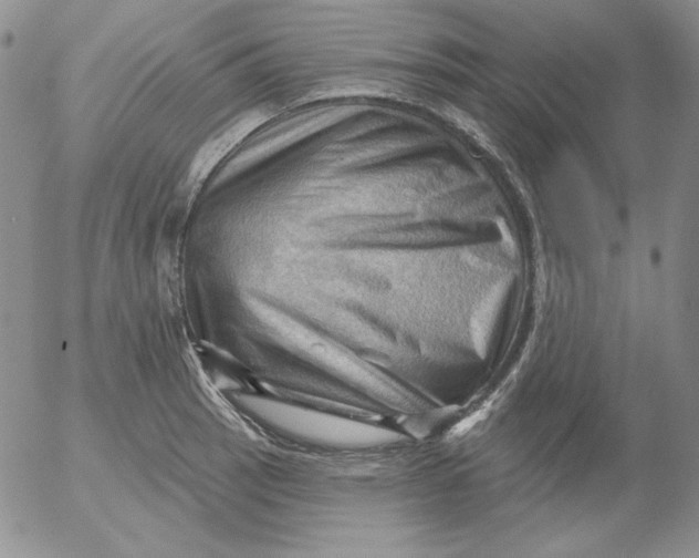 X0000053081137200508011959