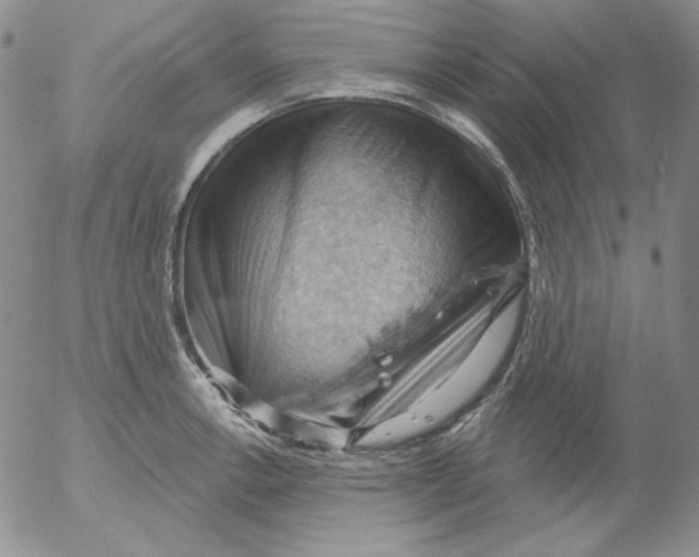 X0000053081138200508011959