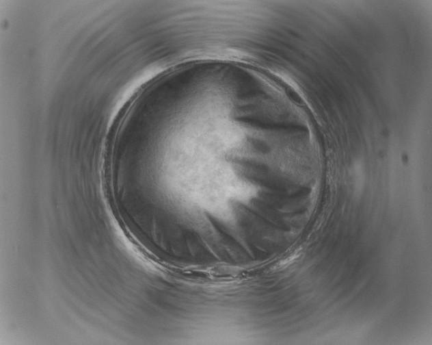 X0000053081139200508011959