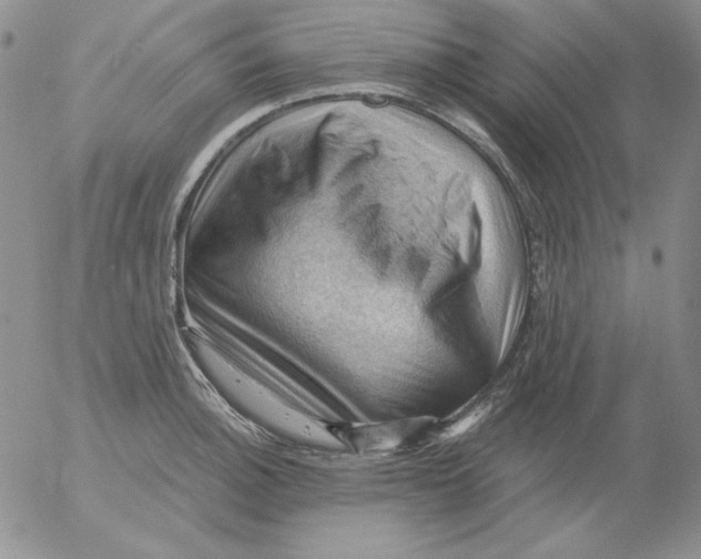 X0000053081140200508011959