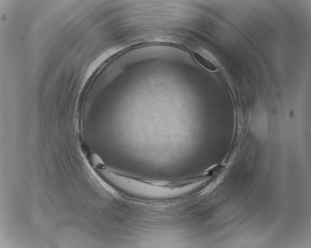 X0000053081141200508011959