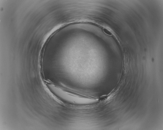 X0000053081142200508011959