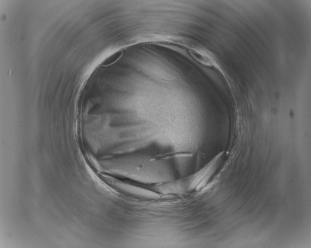 X0000053081143200508011959