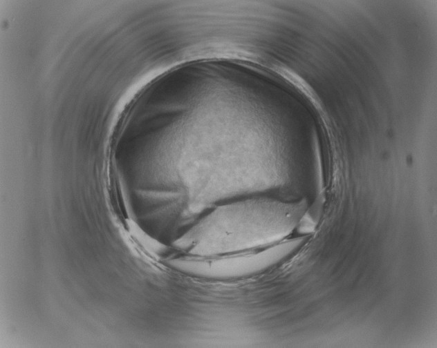 X0000053081144200508011959