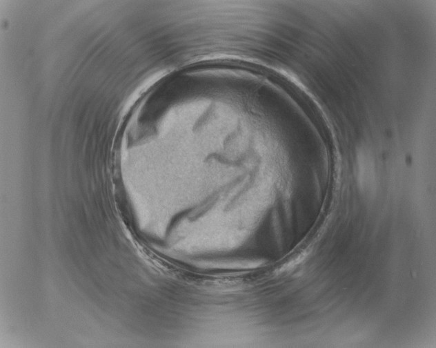 X0000053081145200508011959