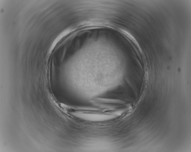 X0000053081146200508011959