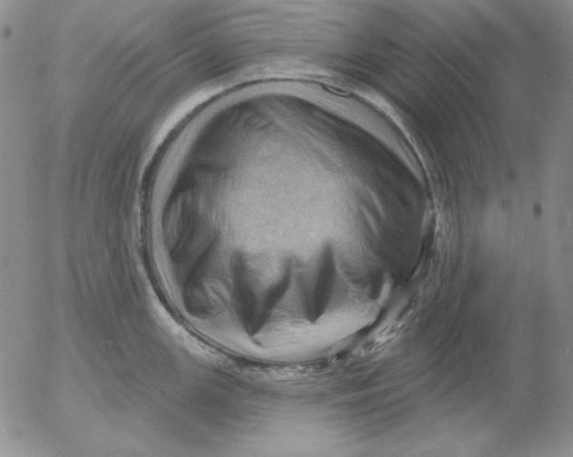 X0000053081147200508011959