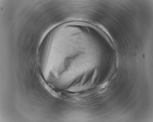 X0000053081148200508011959