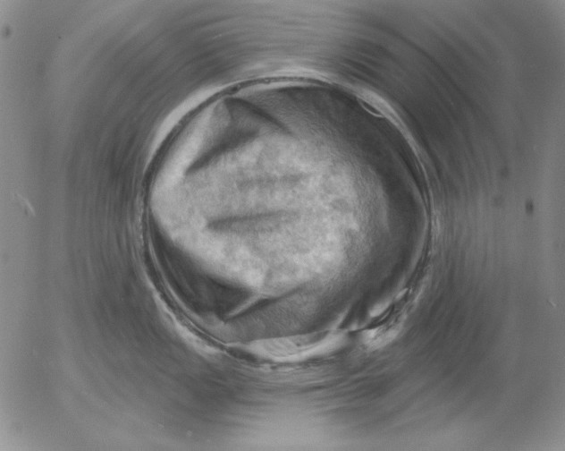 X0000053081149200508011959