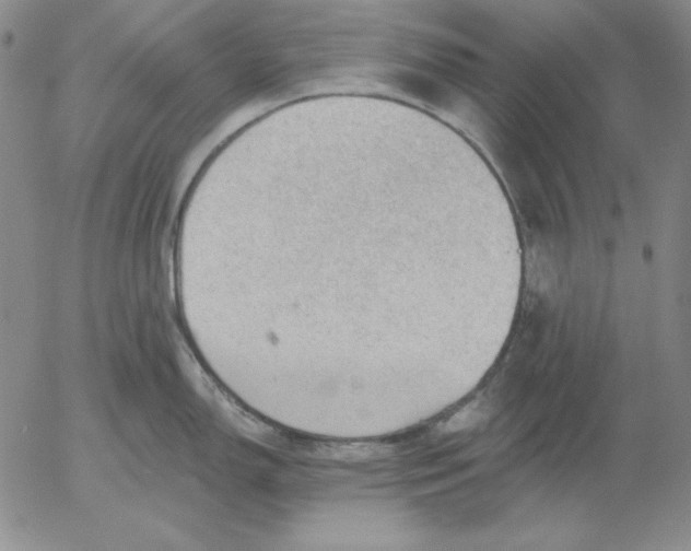 X0000053081150200508011959