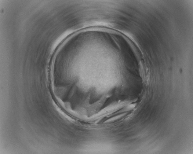 X0000053081151200508011959