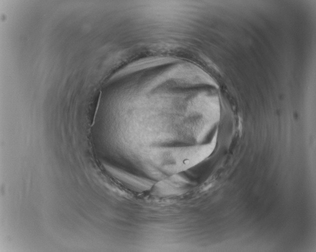 X0000053081153200508011959