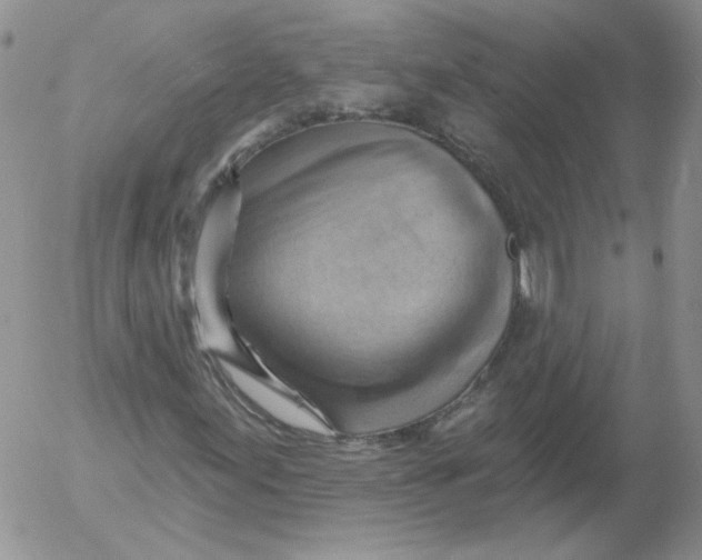 X0000053081155200508011959