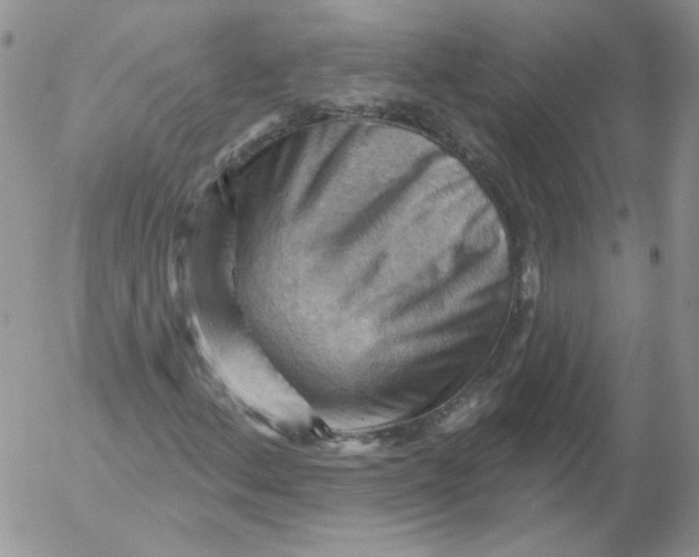 X0000053081156200508011959