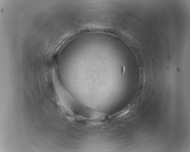 X0000053081157200508011959