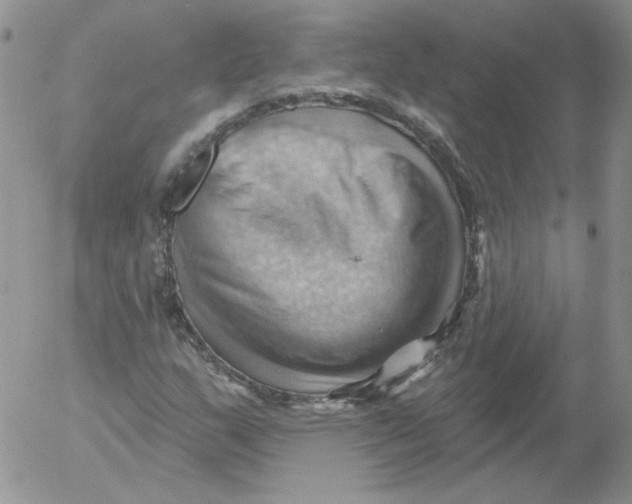 X0000053081159200508011959