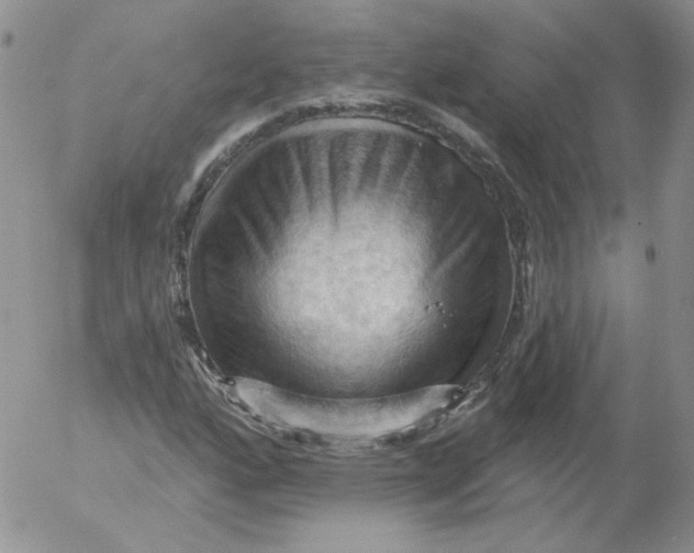 X0000053081160200508011959