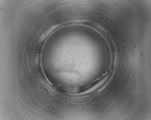 X0000053081161200508011958