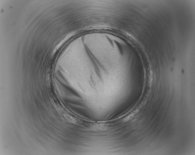 X0000053081162200508011958