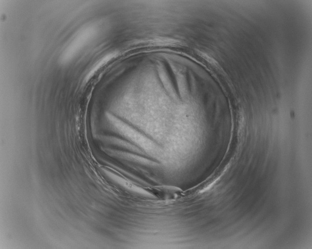 X0000053081163200508011958